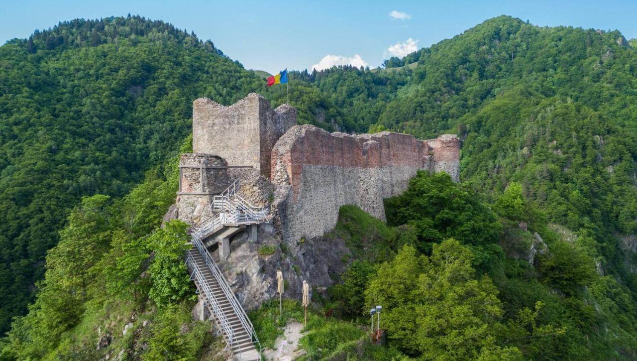 Casa Lupilor Transfagarasan Villa Capatineni-Ungureni Luaran gambar