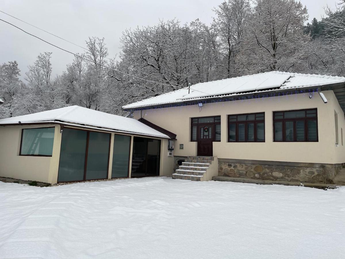 Casa Lupilor Transfagarasan Villa Capatineni-Ungureni Luaran gambar