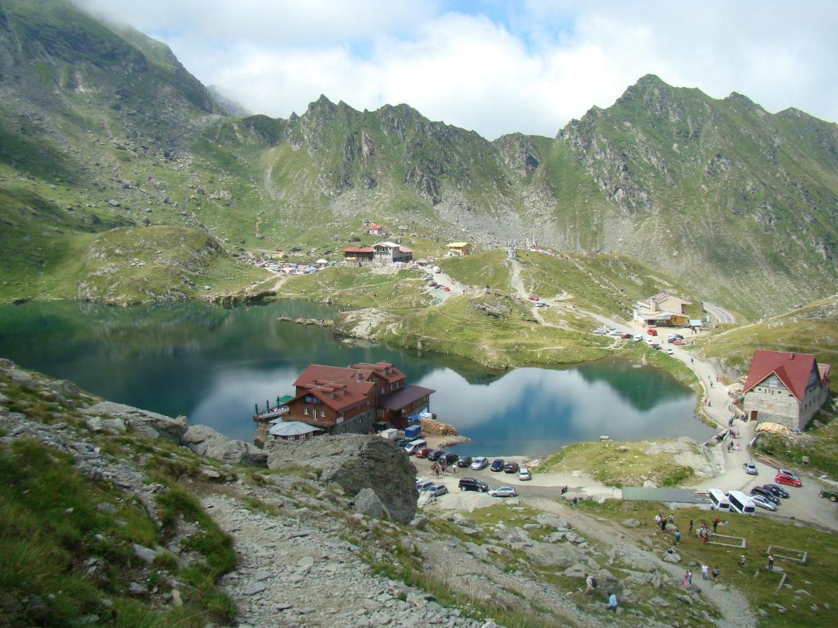 Casa Lupilor Transfagarasan Villa Capatineni-Ungureni Luaran gambar