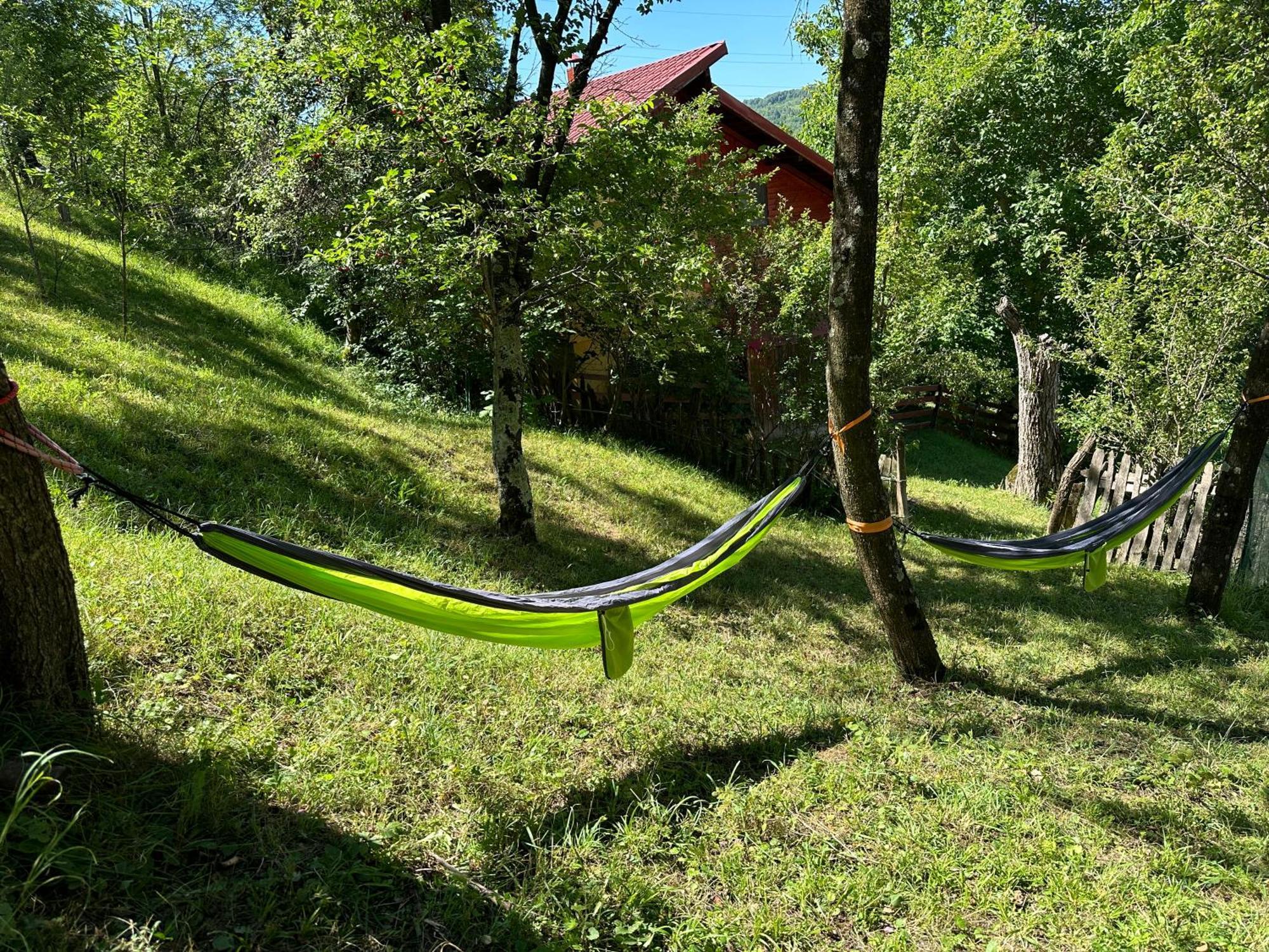 Casa Lupilor Transfagarasan Villa Capatineni-Ungureni Luaran gambar