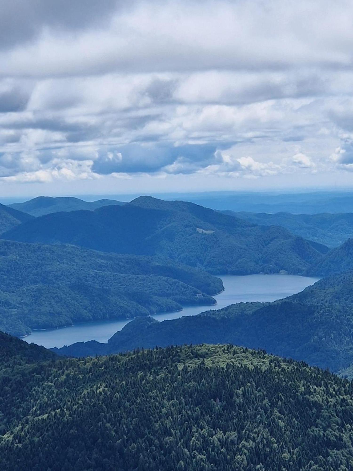 Casa Lupilor Transfagarasan Villa Capatineni-Ungureni Luaran gambar