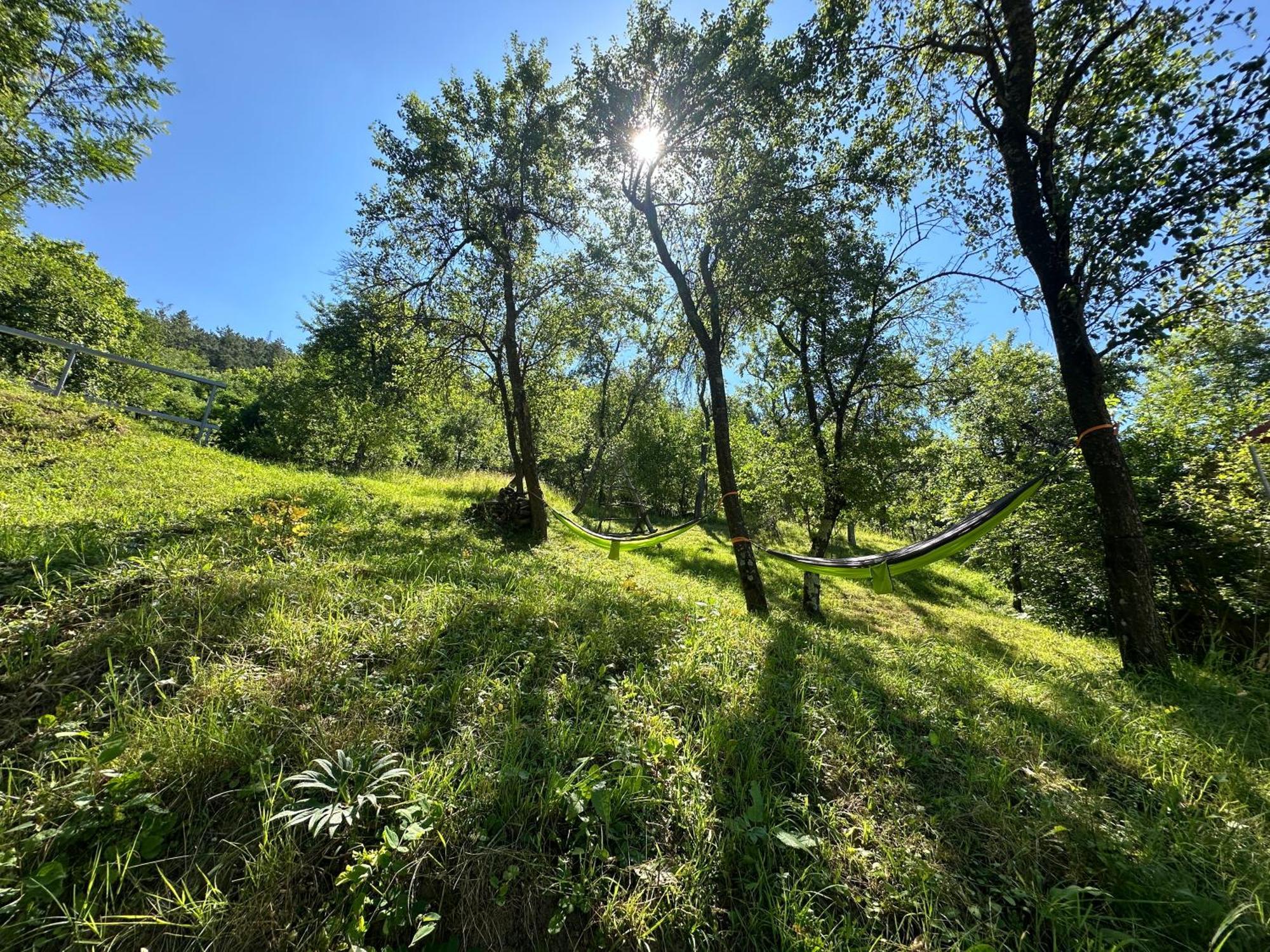 Casa Lupilor Transfagarasan Villa Capatineni-Ungureni Luaran gambar